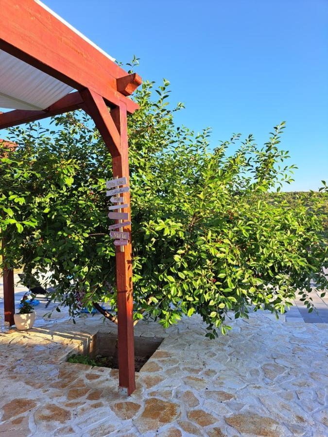 Donje Polje Guest House "The View" - With A Pool מראה חיצוני תמונה